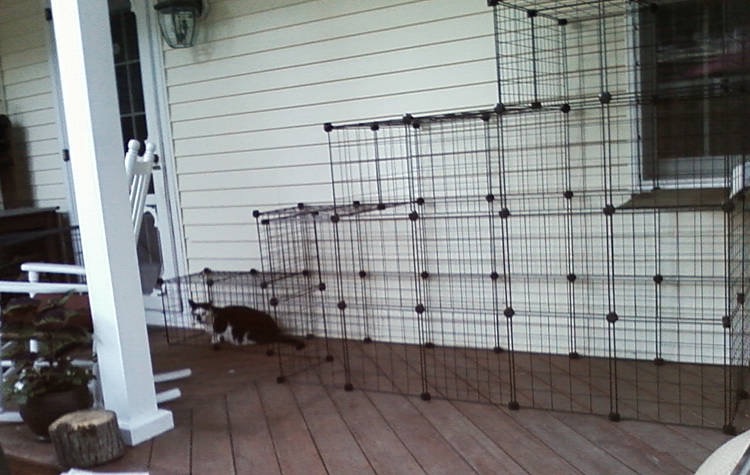 diy kitten enclosure